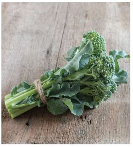 Broccoli - Di Cicco